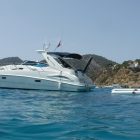 White lightening anti jellyfish pool