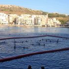 Pisicna anti medusas de medidas especiales